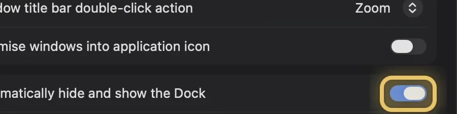 System Settings with the gold ring around “Automatically hide and show the Dock”